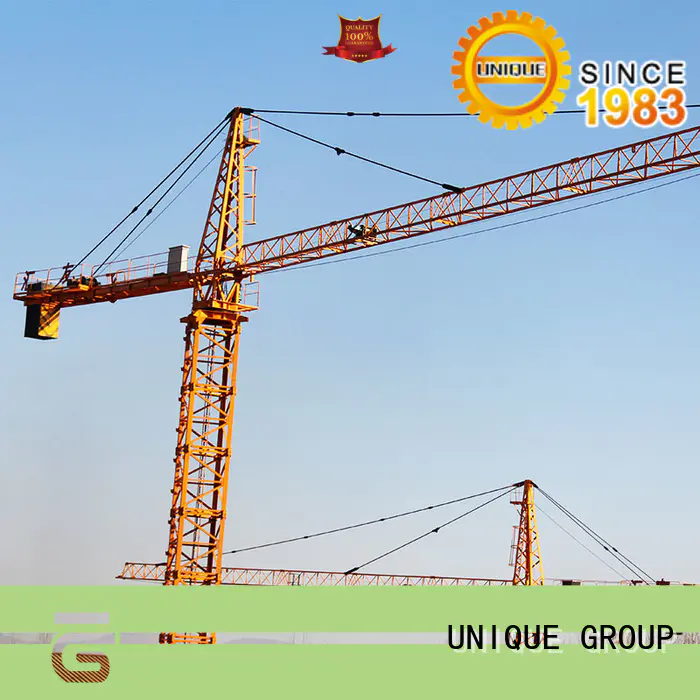 UNIQUE speed-control building crane manufacturer for industrial buildings